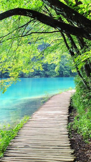 Plitvice Lakes National Park + Croatian Museum of Naïve Art + Lotrscak Tower private charter