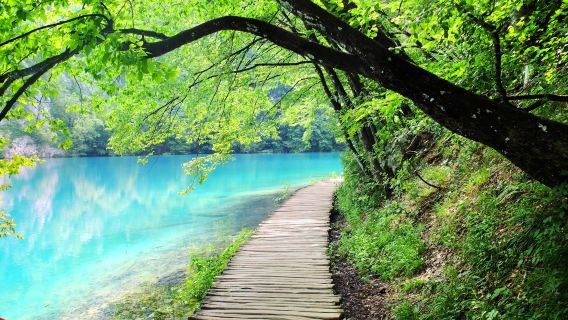 Plitvice Lakes National Park, Croatian Museum of Naive Art, and Warning Tower one-day tour