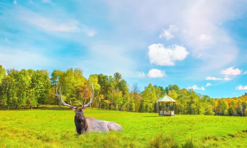 Omega Park
