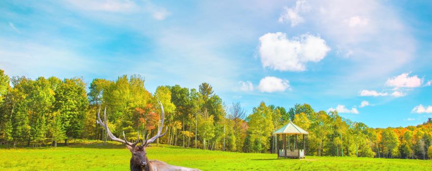 Omega Park