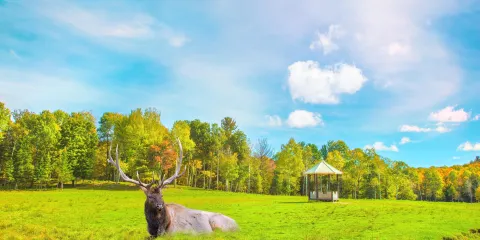 歐米伽野生動物園