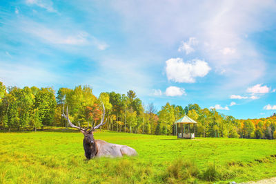 Omega Park