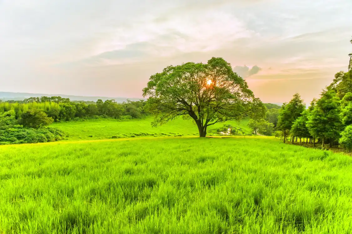 Hotels near Flying Cow Ranch