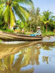 Delta del Río Mekong