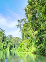 Parc national de Tortuguero