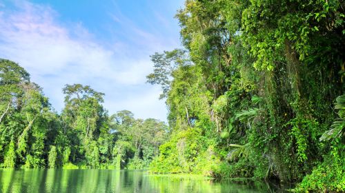 Tortuguero National Park