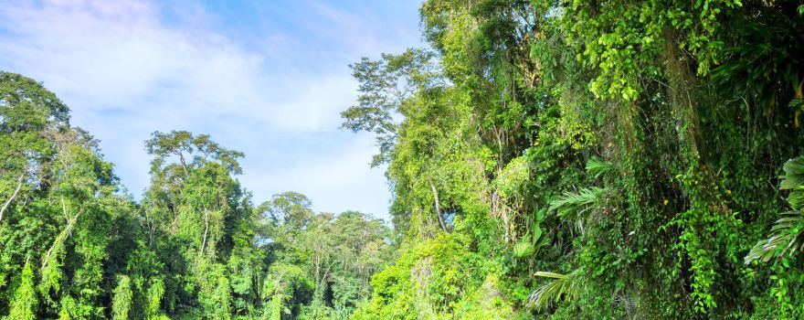 Tortuguero National Park
