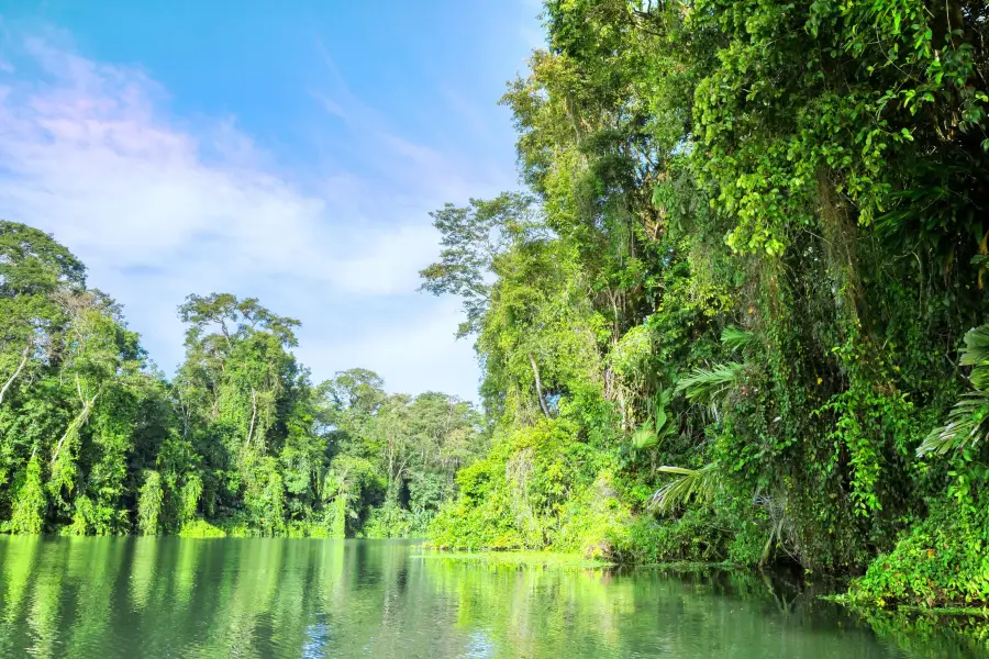 Tortuguero National Park