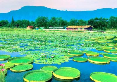 Lotus Ecological Valley, Holy Land of Emei Mountain