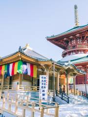 Templo Shinjō-ji Narita-san