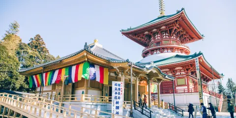 成田山新勝寺