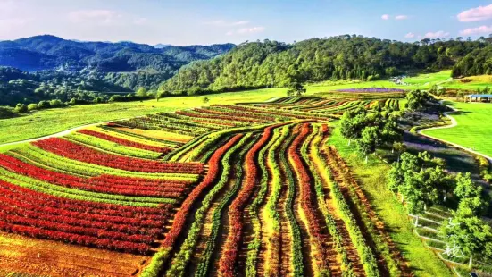 Tengchong Yuan Xiang Qihualing Sceneic Area