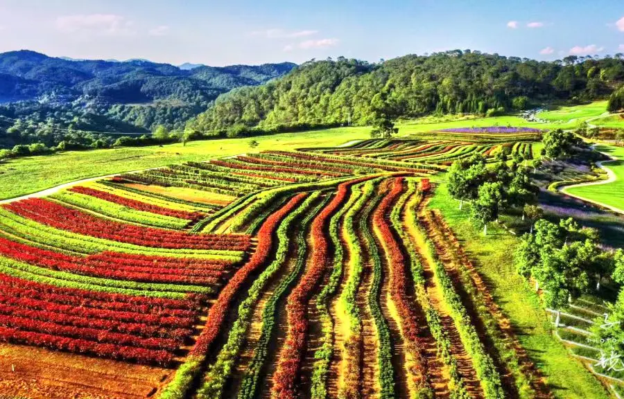 Tengchong Yuan Xiang Qihualing Sceneic Area