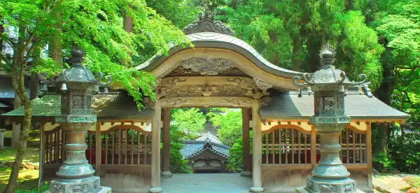 Fujita properties in Eiheiji