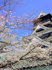 Castillo de Kumamoto