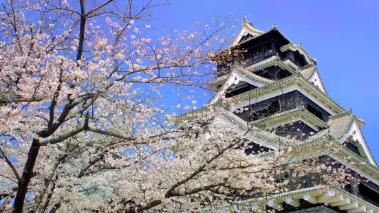 Castillo de Kumamoto