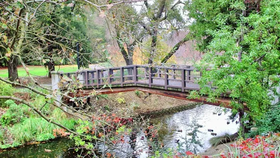 UC Davis Arboretum