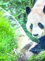 エディンバラ動物園