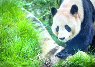 エディンバラ動物園