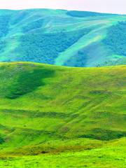 Hadamen National Forest Park