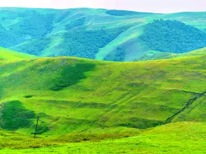 Hadamen National Forest Park