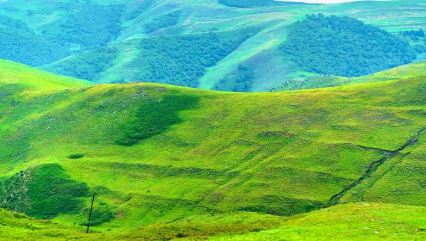 pic366624