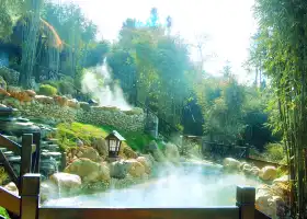 Chongyang Langkou Forest Hot Spring