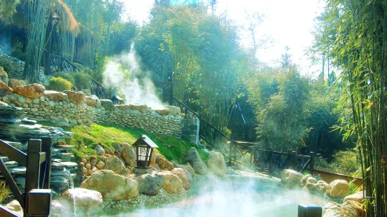 Chongyang Langkou Forest Hot Spring