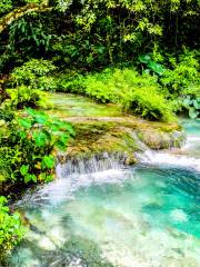 Evergreen Cascades Waterfall