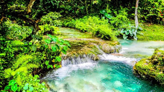 Mele Cascades Waterfall Entrance Desk