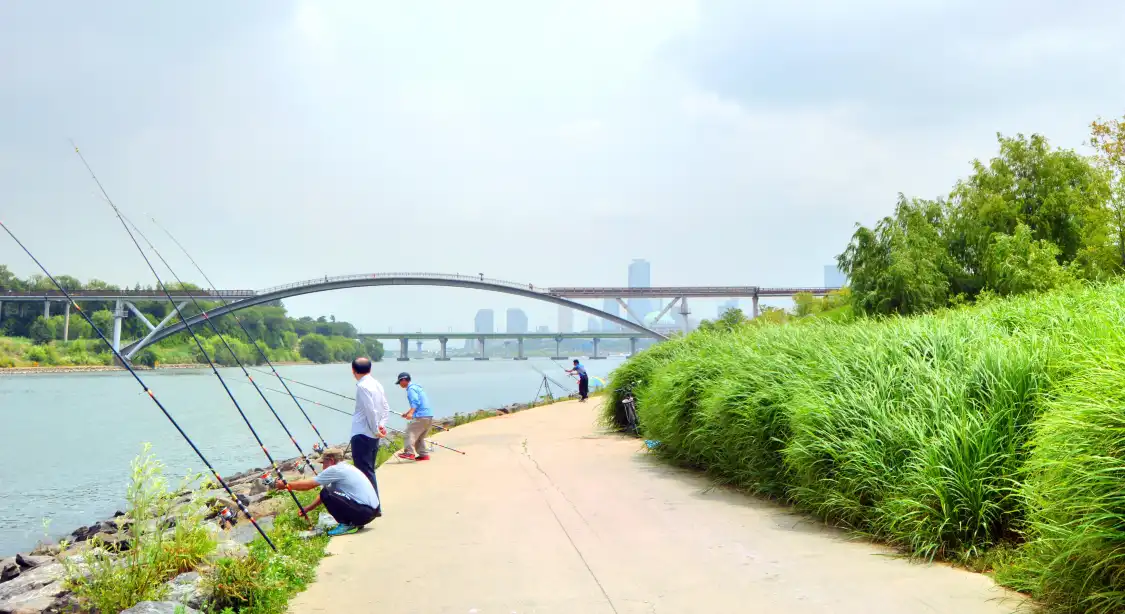 Hotels near Seonyudo Park