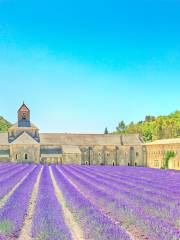 Provence