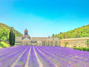 Provence