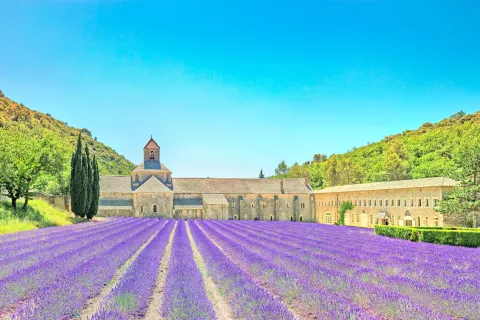 Provence