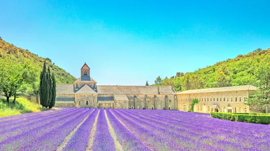 Provence