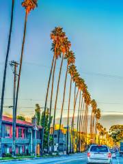 Sunset Boulevard