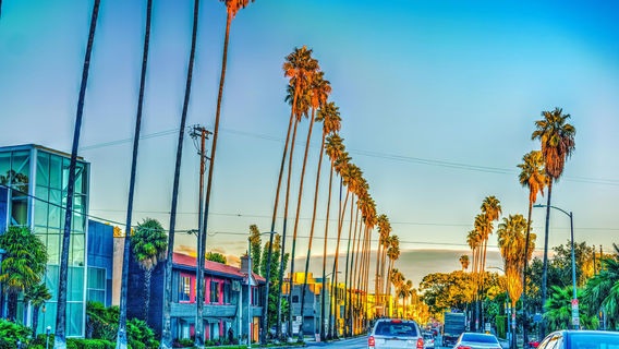 W Sunset Blvd
