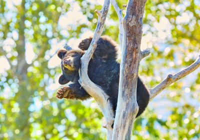 Centro Conservazione Wildlife