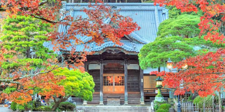 Shuzenji Tsubame-Sha