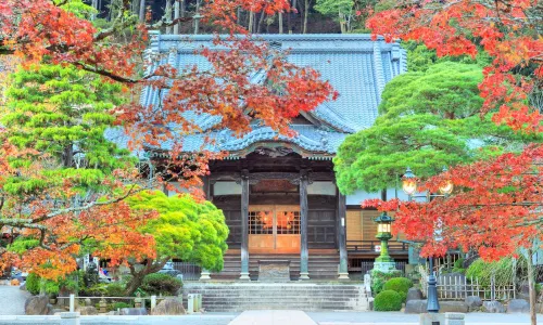 Shuzenji Tsubame-Sha