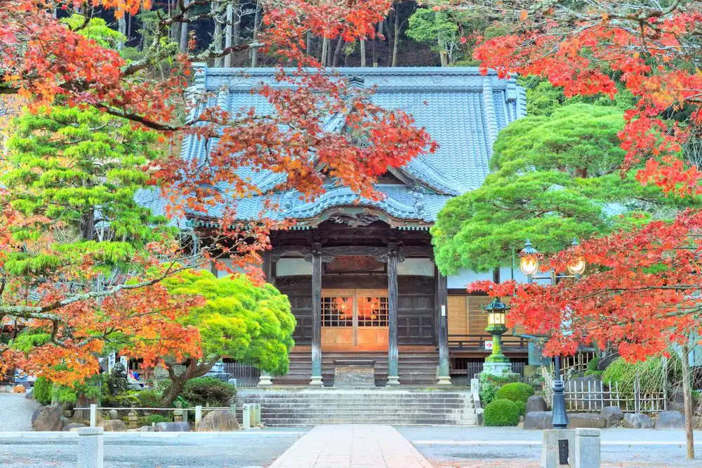 Hotels near Shuzenji