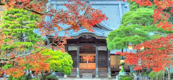 伊豆市