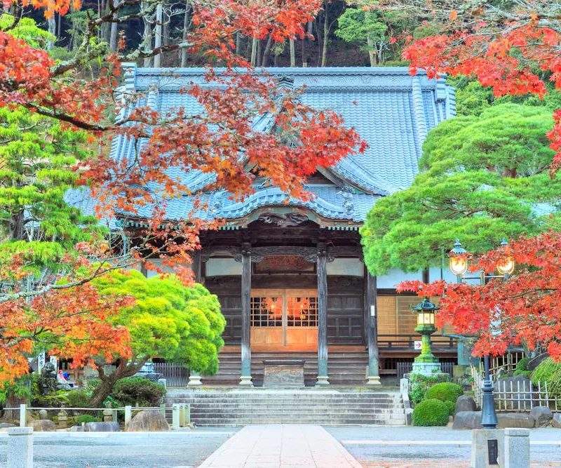 修善寺