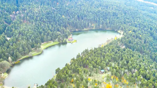 阿邦特湖自然公園