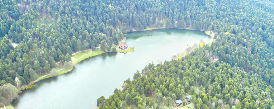 Lake Abant Nature Park