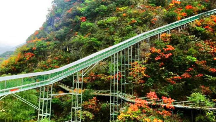 Popular Fall Viewing Attractions in Zhashui