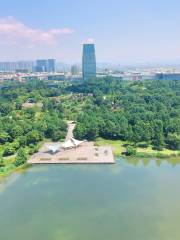 Futian Wetland Park