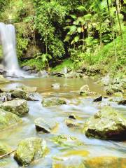 Tamborine Mountain