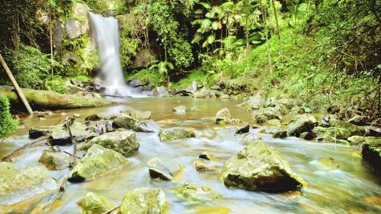 Tamborine Mountain