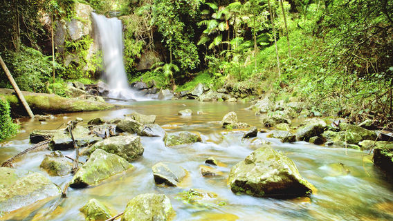 Tamborine Mountain